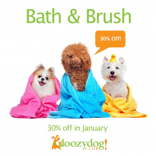 30% Off Bath & Brush In January